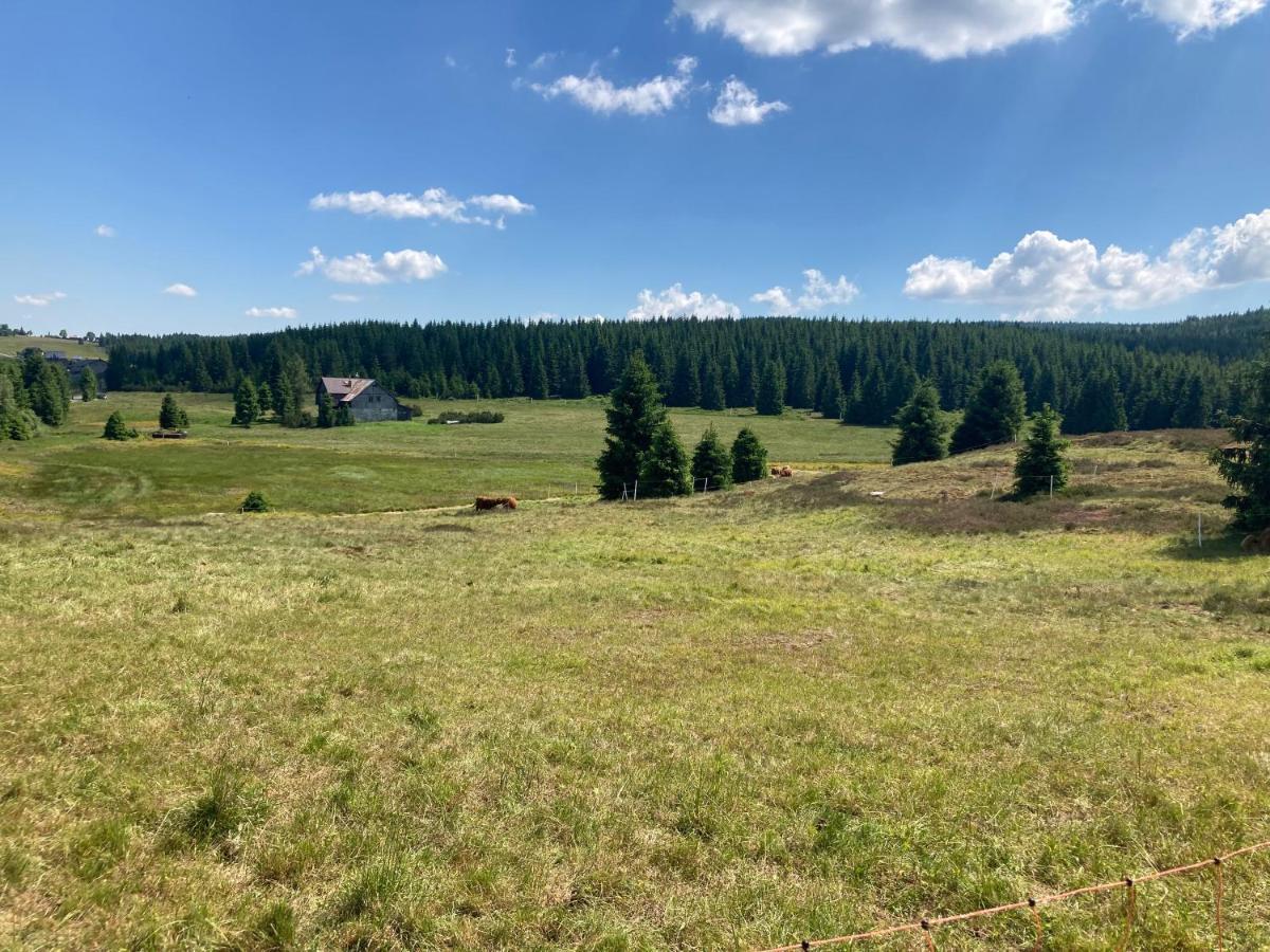 Apartmán V lese Bedřichov Esterno foto