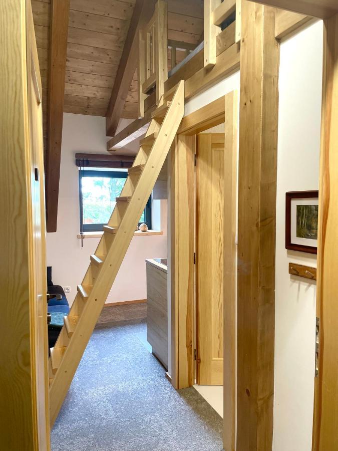 Apartmán V lese Bedřichov Esterno foto