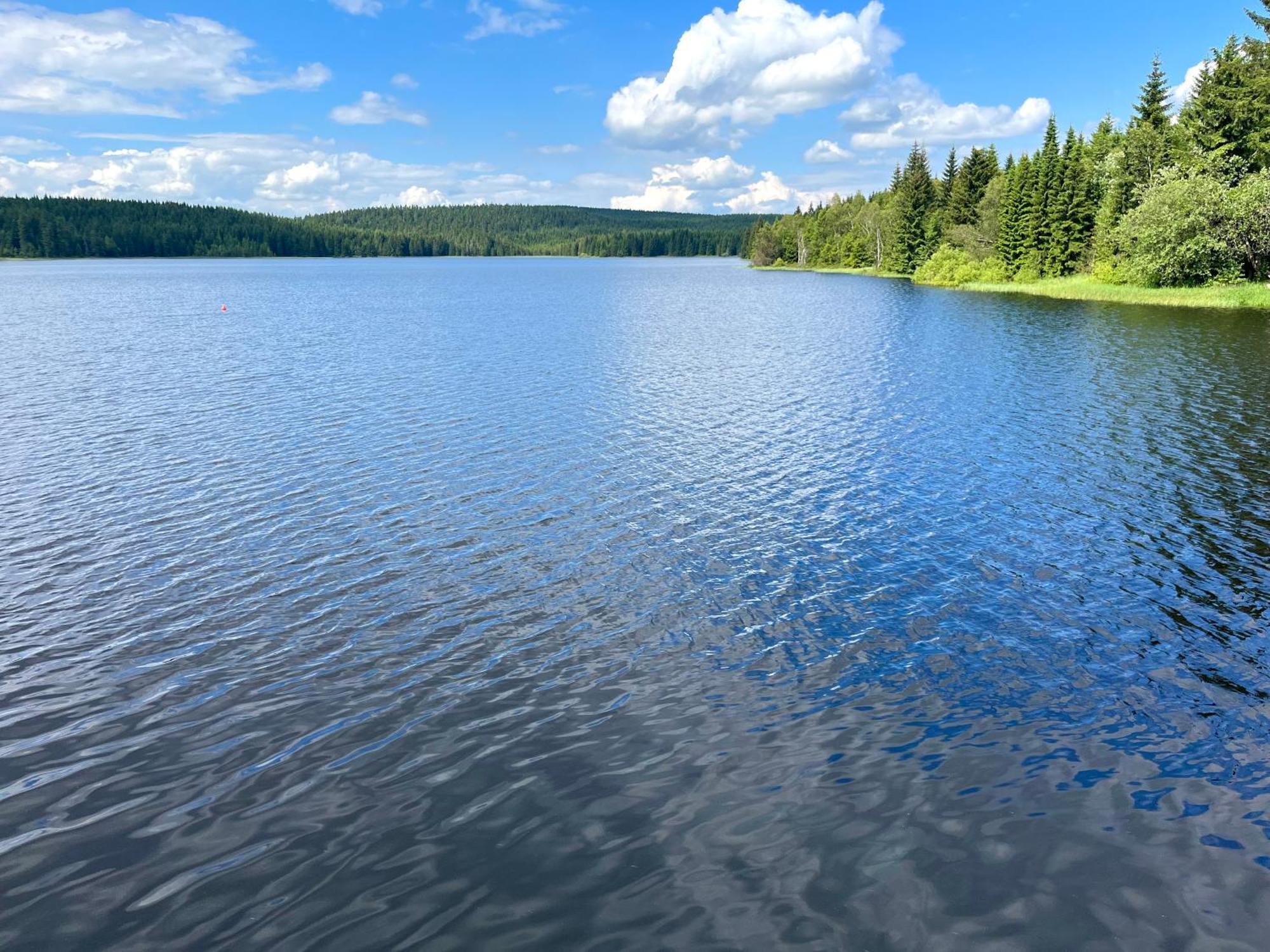 Apartmán V lese Bedřichov Esterno foto
