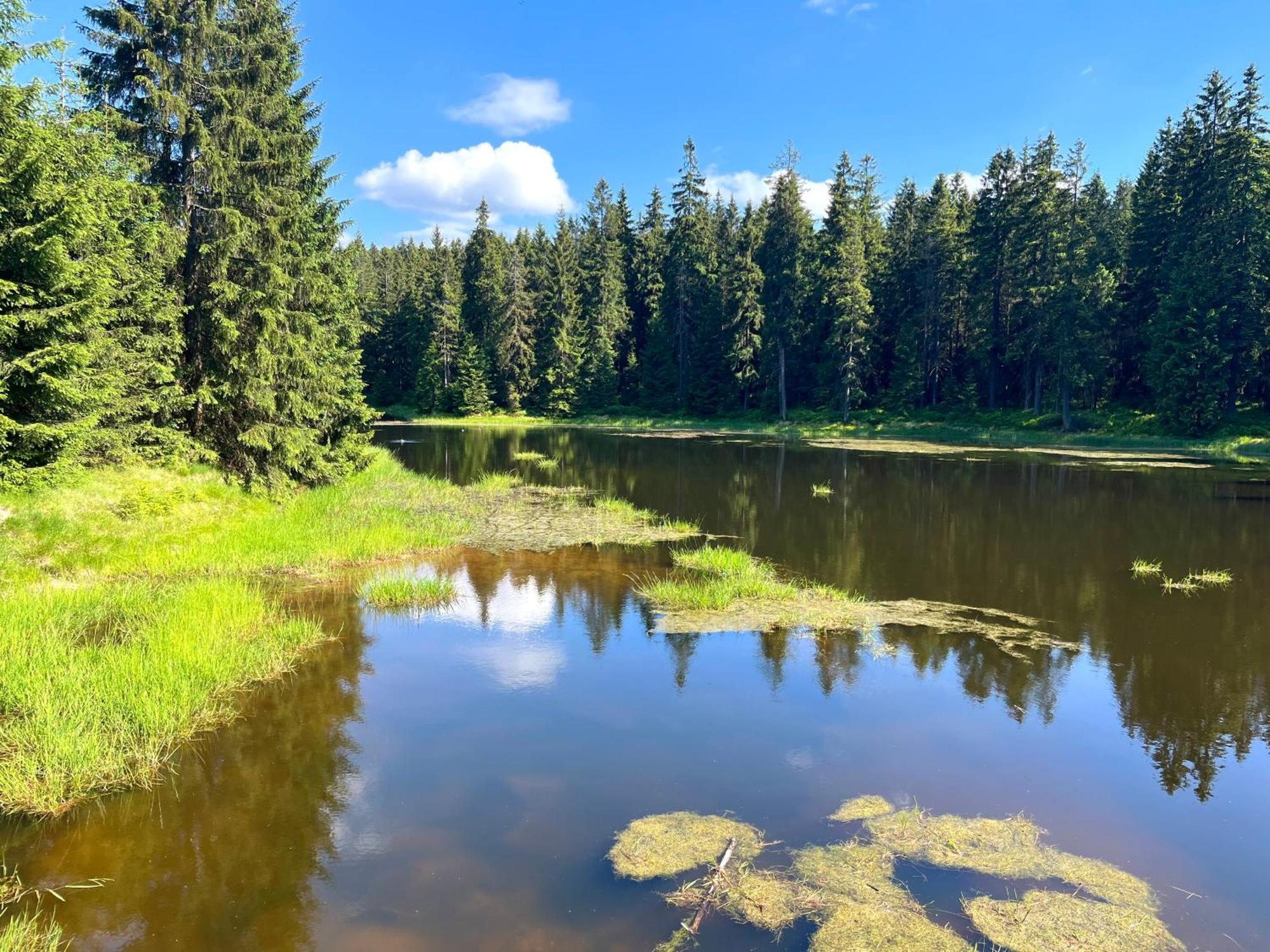 Apartmán V lese Bedřichov Esterno foto
