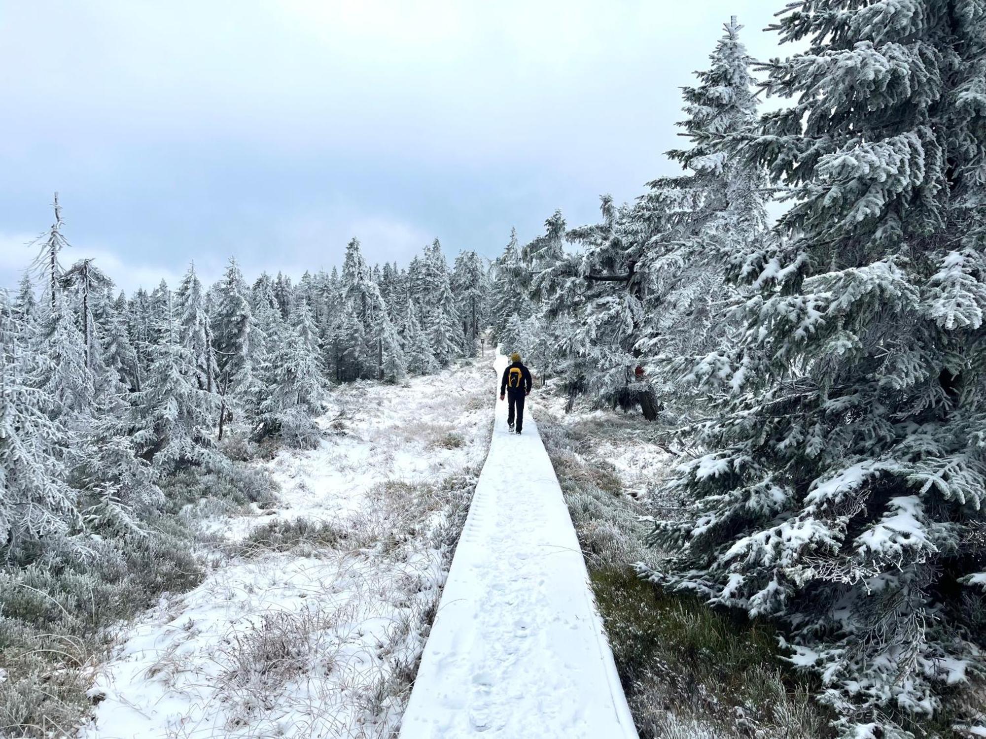 Apartmán V lese Bedřichov Esterno foto