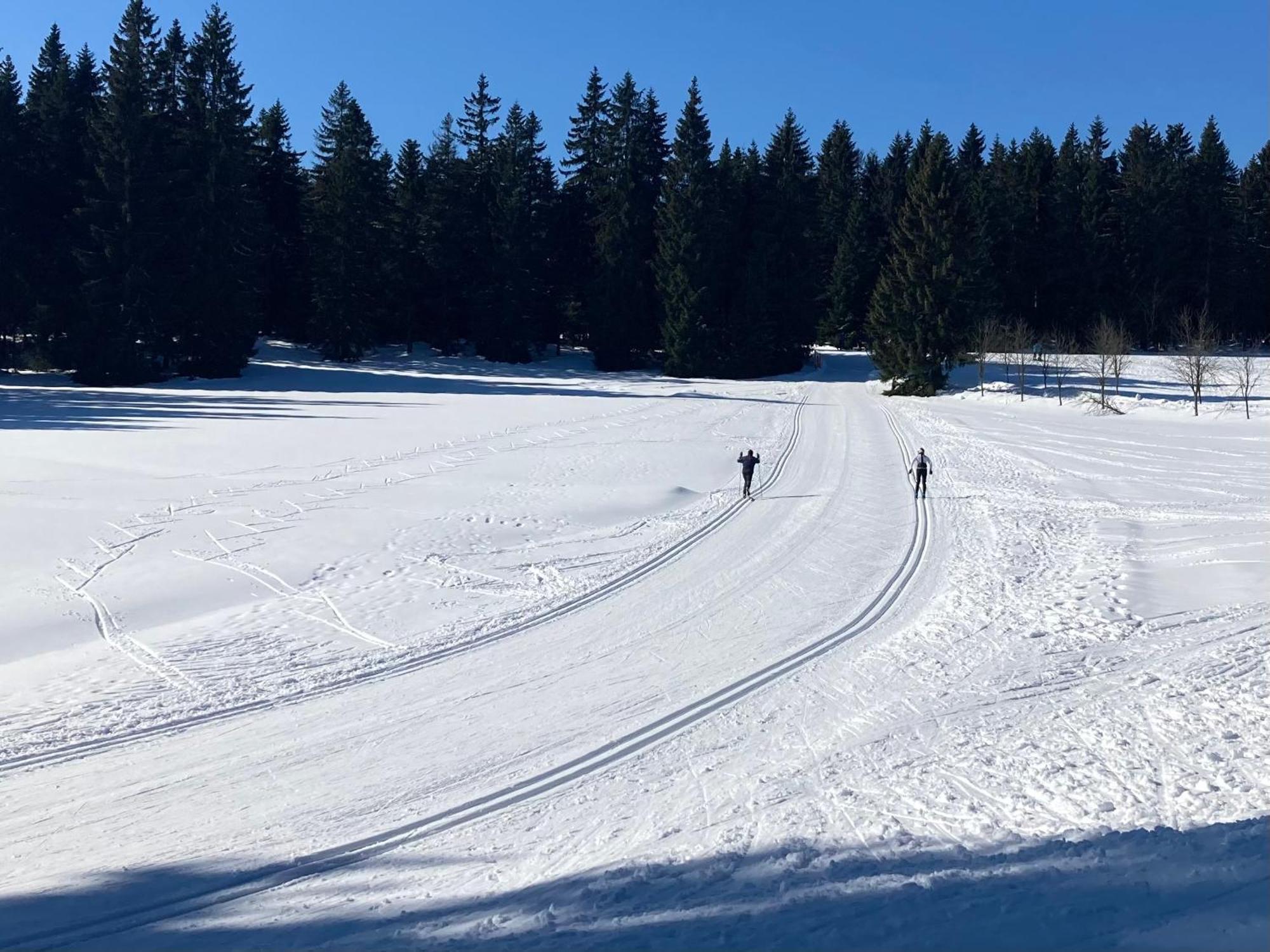 Apartmán V lese Bedřichov Esterno foto