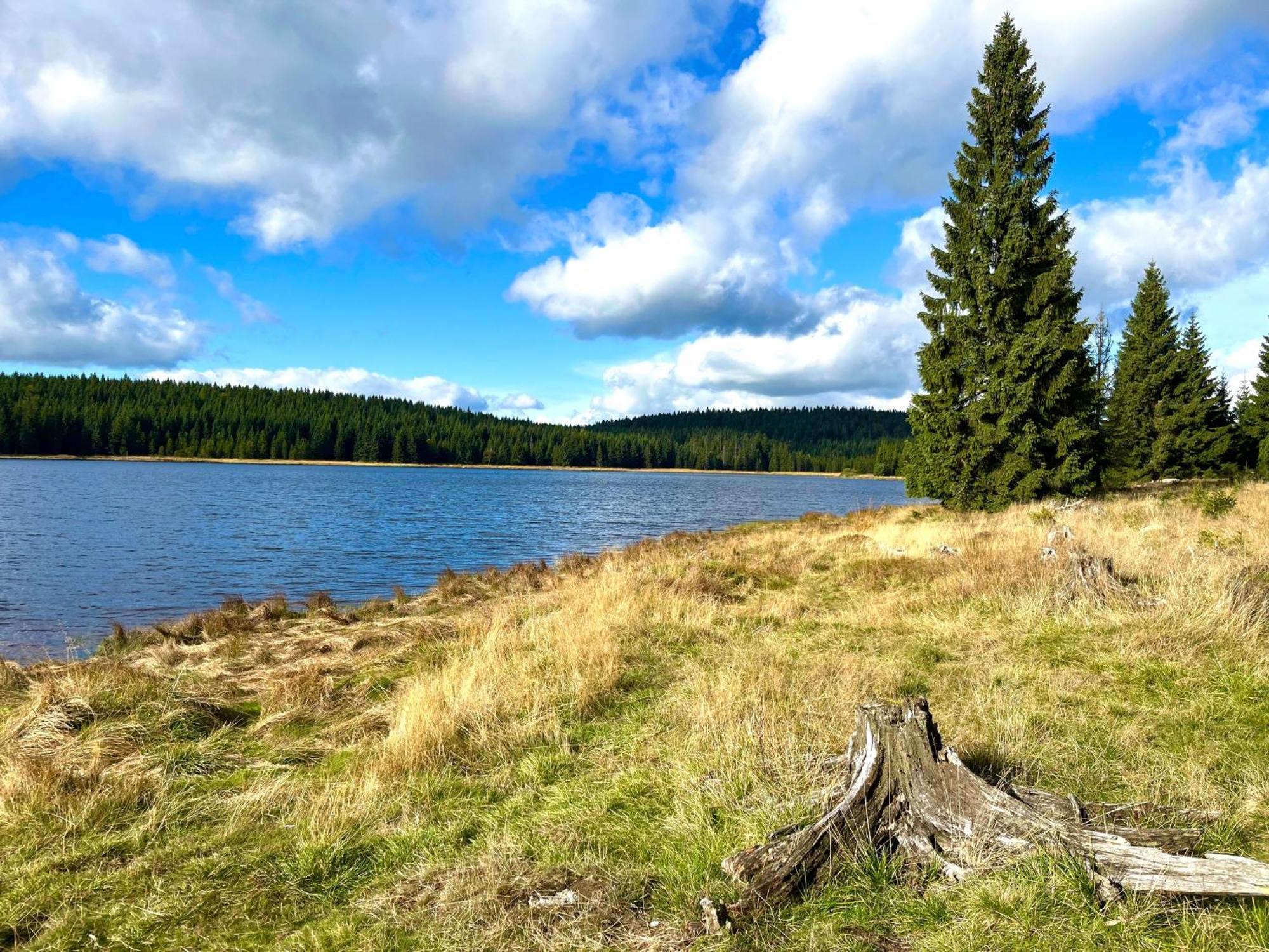 Apartmán V lese Bedřichov Esterno foto