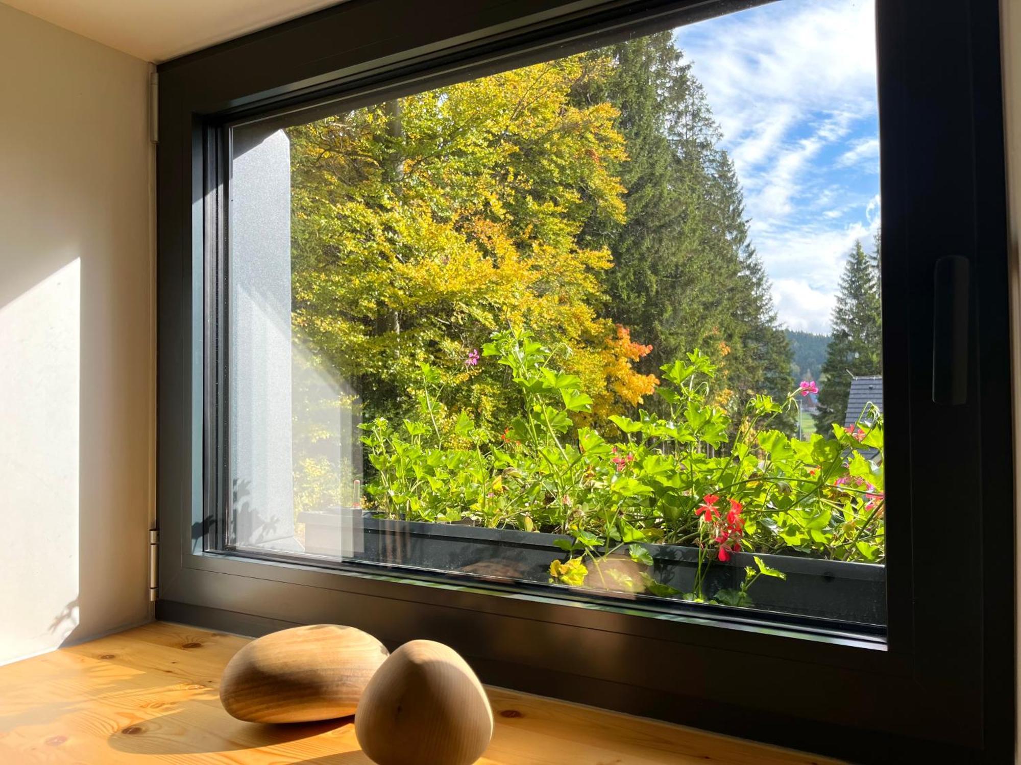 Apartmán V lese Bedřichov Esterno foto