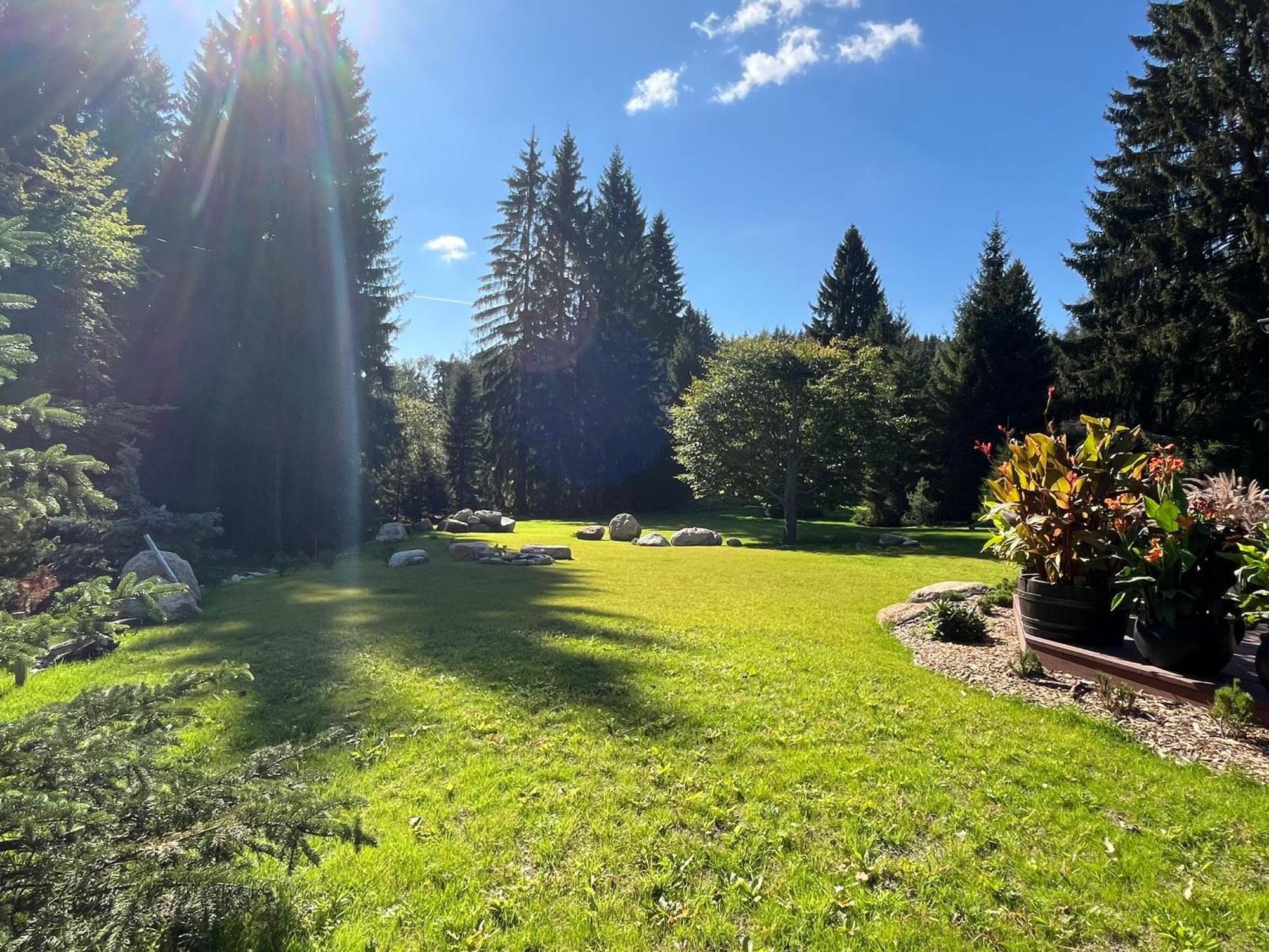 Apartmán V lese Bedřichov Esterno foto